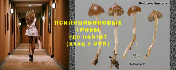 ECSTASY Алексеевка