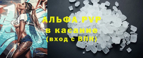 твердый Арсеньев