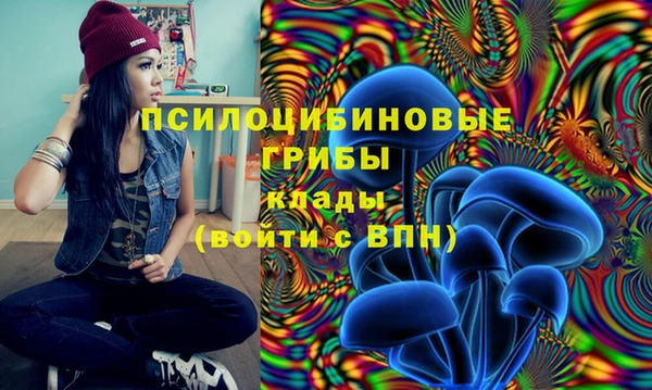 ECSTASY Алексеевка